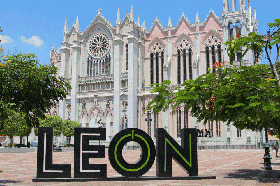 Imagen-León-small